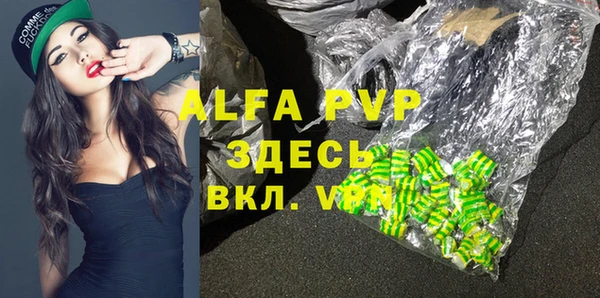 индика Касимов