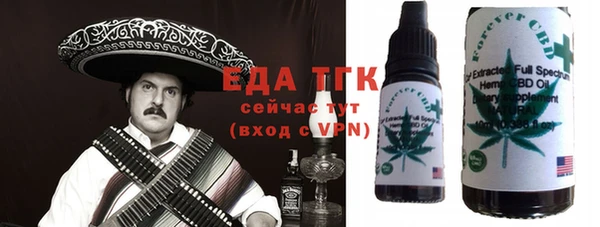 индика Касимов