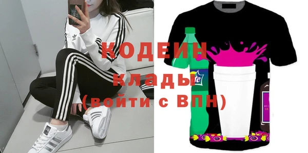 индика Касимов