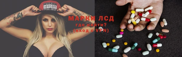 индика Касимов