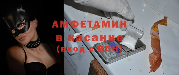 индика Касимов