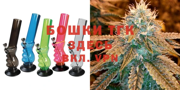 индика Касимов