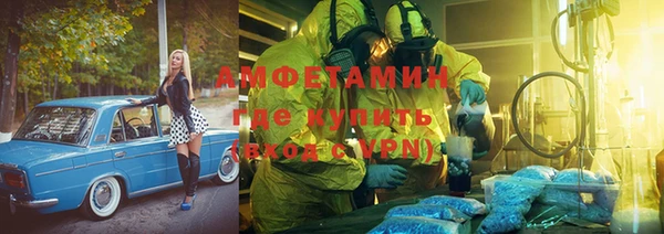 индика Касимов