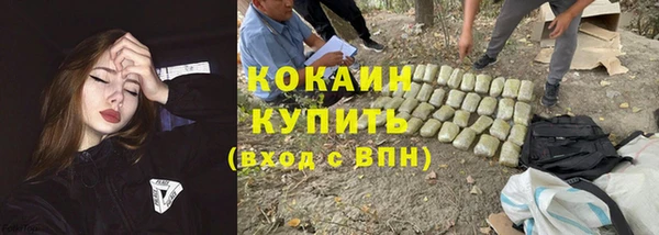 ALPHA PVP Карталы