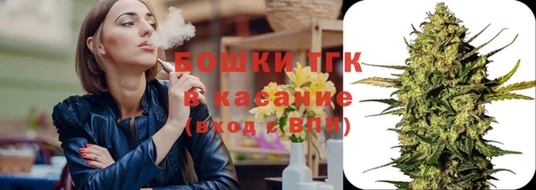 индика Касимов