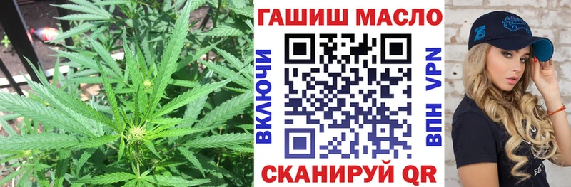 Купить  Куровское  ТГК жижа 