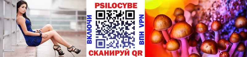 Галлюциногенные грибы мицелий  Купить где  Куровское 
